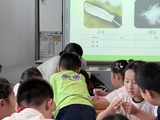 c876901383c9fe75b9b271ffae8c5824